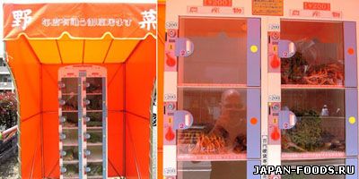 В Японии появились торговые автоматы, продающие овощи