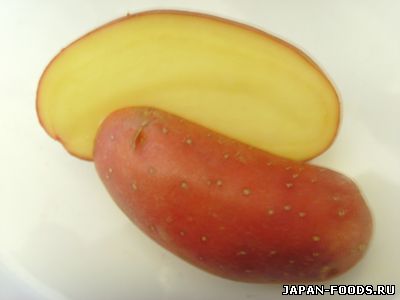Самый большой картофель весит 11 кг